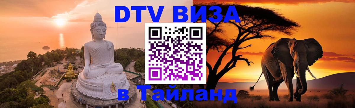 Сколько стоит DTV виза — актуальные цены, оформление даже без документов - 05.10.2025 